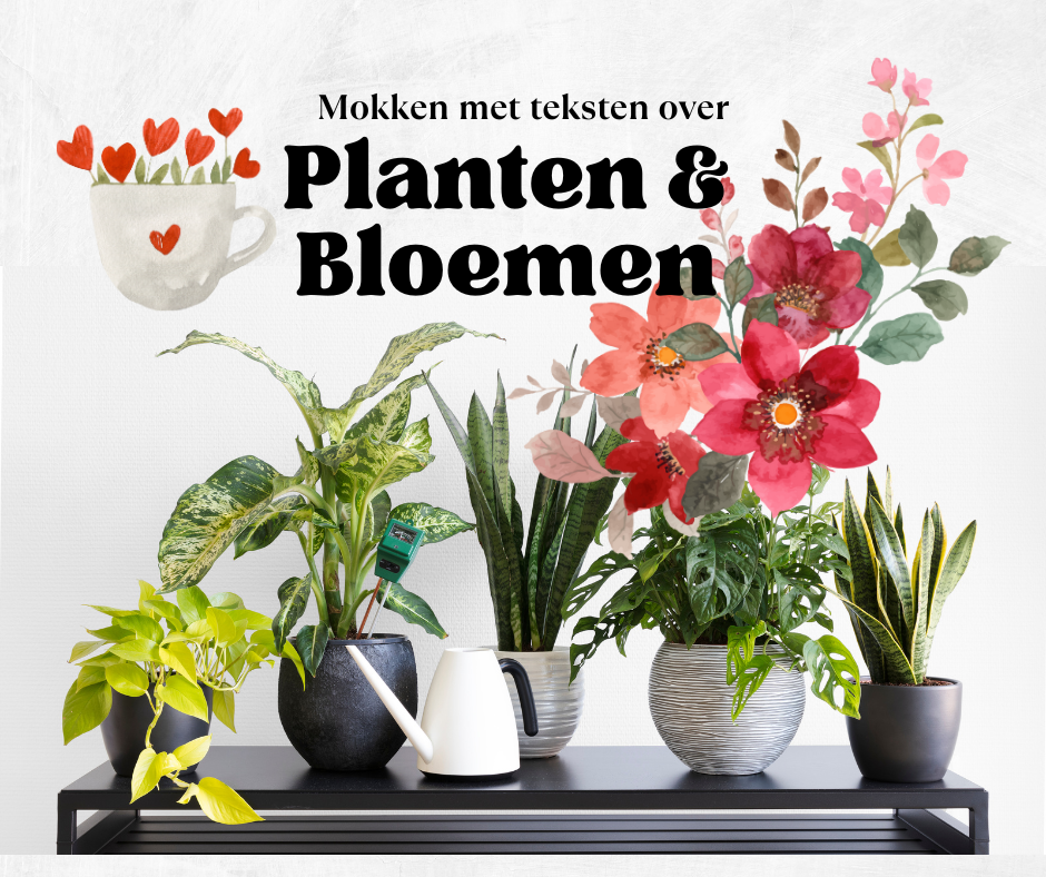 Planten en Bloemen